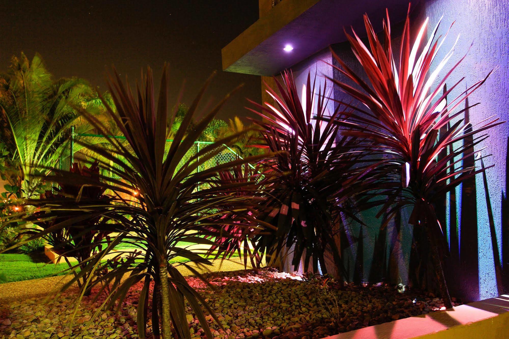 Capricorn One Beachside Holiday Apartments - Official Gold Coast Eksteriør billede